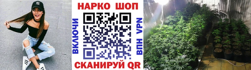 Магазин наркотиков Кодинск ГАШИШ  Каннабис  кракен зеркало  Меф  А ПВП 