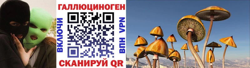 Галлюциногенные грибы мухоморы купить наркоту Кодинск